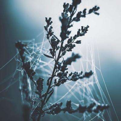 pg麻将胡了平台